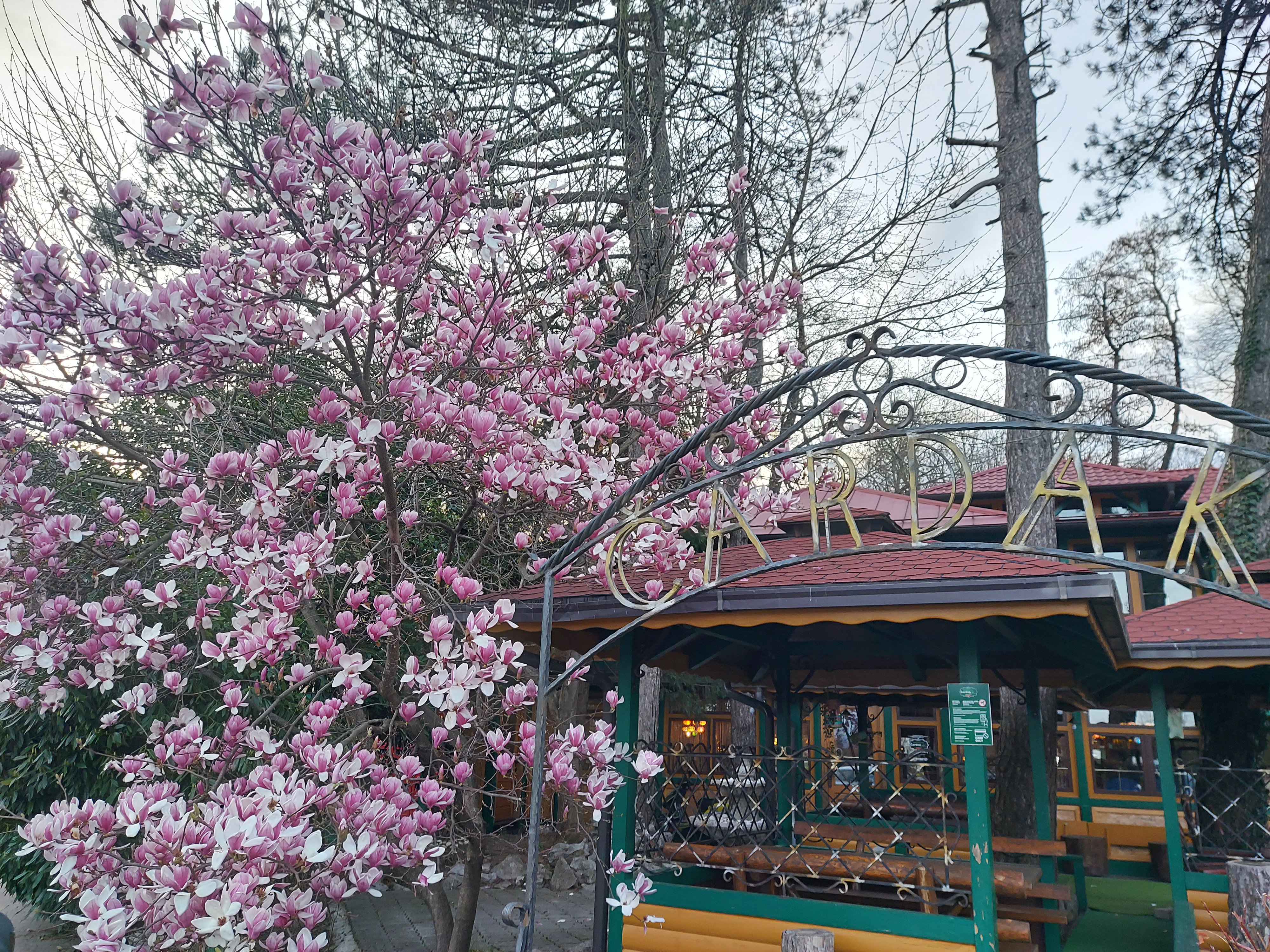 Restoran u srcu Gradskog  parka